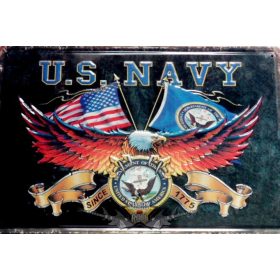 U.S. NAVY -  Metal Sign.  20X30.cm. fém tábla kép