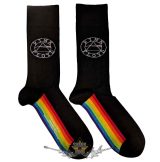   Pink Floyd - Unisex Ankle Socks: Spectrum Sole (UK Size 7 - 11)     boka  zokni