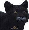 BLACK CAT - Moonlight Watcher.  15cm, Resin, Black, Cat Figure. U6691A24.  