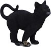 BLACK CAT - Moonlight Watcher.  15cm, Resin, Black, Cat Figure. U6691A24.  