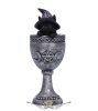BLACK CAT - Coven Cup Black Cat Ornament 15.7cm. U6320X3.  fantasy dísz,kehely. serleg