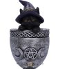 BLACK CAT - Coven Cup Black Cat Ornament 15.7cm. U6320X3.  fantasy dísz,kehely. serleg