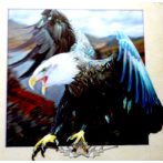 EAGLE - 3D. 42.cm. nagy méretű 3D fali kép. 