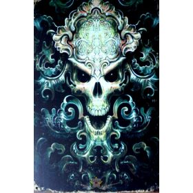 DEMON SKULL.   Metal Sign.  20X30.cm. fém tábla kép