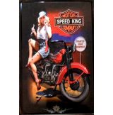   BIKER - MOTOR SPEED KING COMPANY.  20X30.cm. fém tábla kép