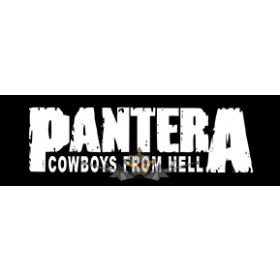 Pantera  -  Logo.  10 x 3.  felvarró