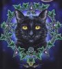 BLACK CAT - Lisa Parker - A Bűbájos Pentagram Macska.  Dombornyomott Erszény. B4355M8.  import pénztárca