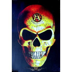 ALCHEMY SKULL.   Metal Sign.  20X30.cm. fém tábla kép