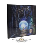   Black Cat - Boszorkányok tanítványa. kristálytiszta kép. 25cm .  dekor fatábla kép