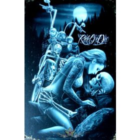 RIDE OR DIE.   Metal Sign.  20X30.cm. fém tábla kép