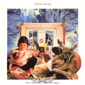   Wang Chung ‎– The Warmer Side Of Cool.  hanglemez vinyl, bakelit