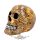 Wild - Leopard Print Skull 18cm.  D4715P9  koponya figura