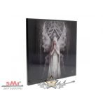   ANGEL - Only Love Remains Small Crystal Clear Picture. kristálytiszta kép. 25cm .  dekor fatábla kép