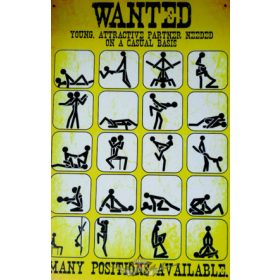   WANTED - SEX POSITION.   Metal Sign.  20X30.cm. fém tábla kép