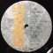 Cliff Richard – Stronger.   hanglemez vinyl, bakelit