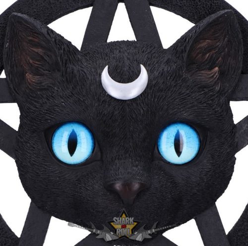 BLACK CAT - Feline Worship Cat Pentagram Wall Plaque 25.5cm. D6766A24.   fantasy figura, Macskaimádó Pentagram Fali Plakett 