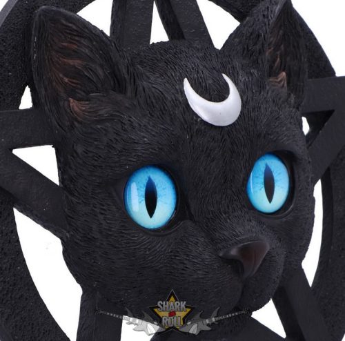 BLACK CAT - Feline Worship Cat Pentagram Wall Plaque 25.5cm. D6766A24.   fantasy figura, Macskaimádó Pentagram Fali Plakett 