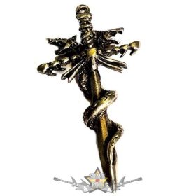 Kard kigyókkal.   nyaklánc, medál Kard kigyókkal.   nyaklánc, medál