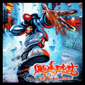 Limp Bizkit. - Cover.  felvarró