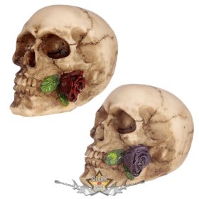 Koponya - Rózsával a Fogai Közt. SK289. 
