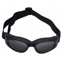 Szemüveg * Sunglasses Szemüveg * Sunglasses